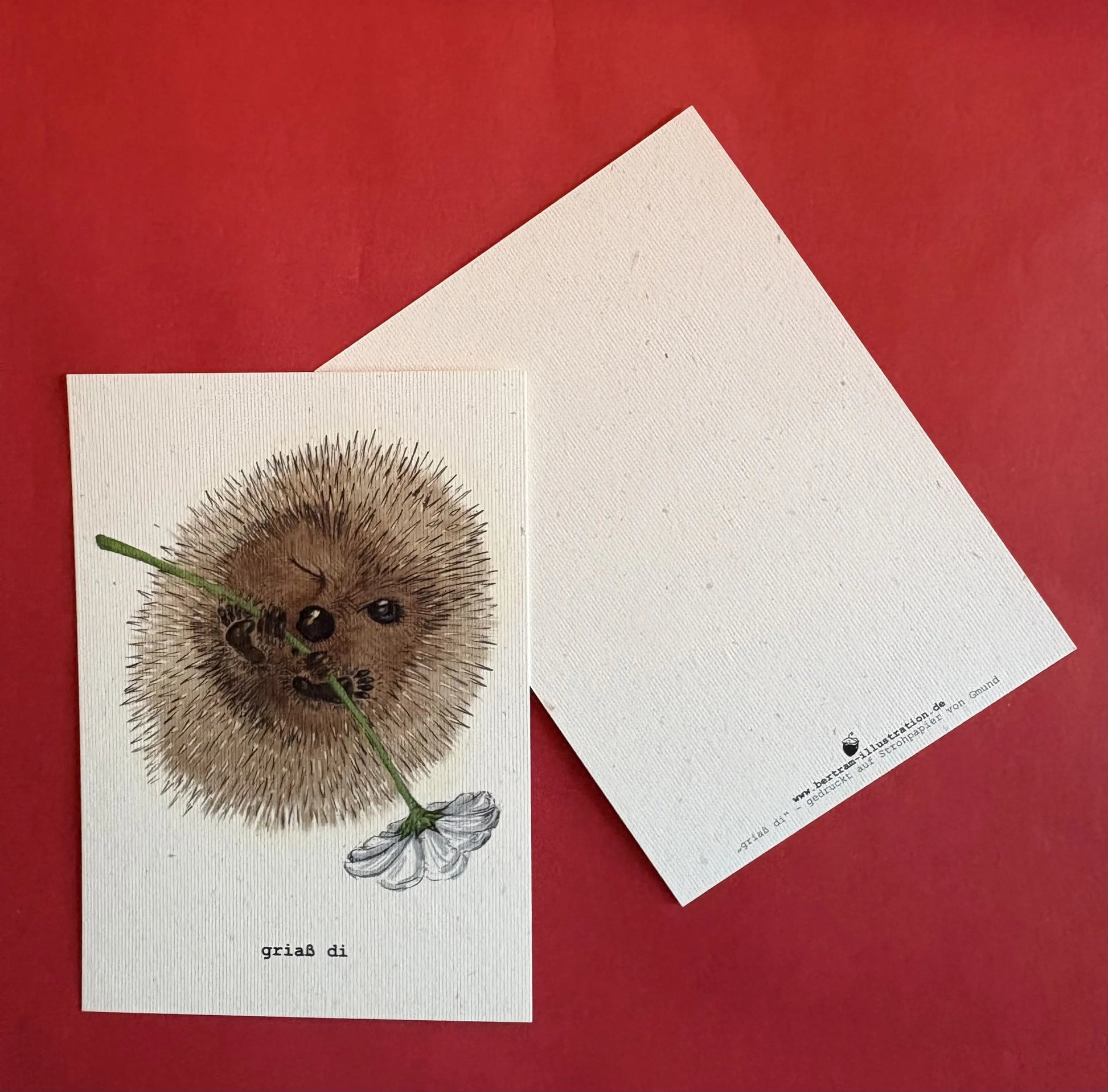 Postkarte-mit bayrischem gruß Grias-di Igel mit Blume-handgemalt-auf-Strohpapier, ansicht vorne und hinten