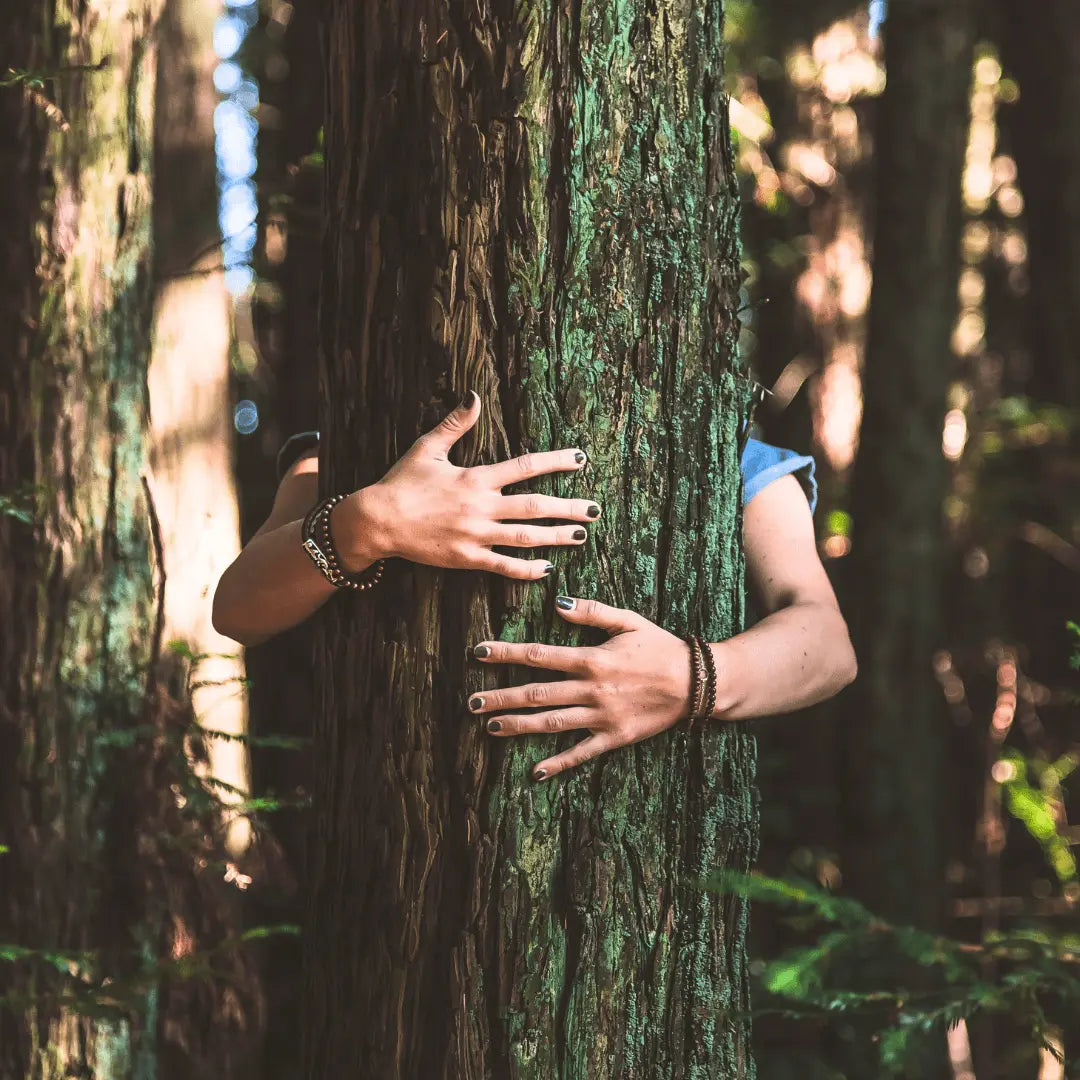 vivatrue und die Verantwortung für die Umwelt. Nachhaltige Bio Naturkosmetik unter nachhaltigen Gesichtspunkten.