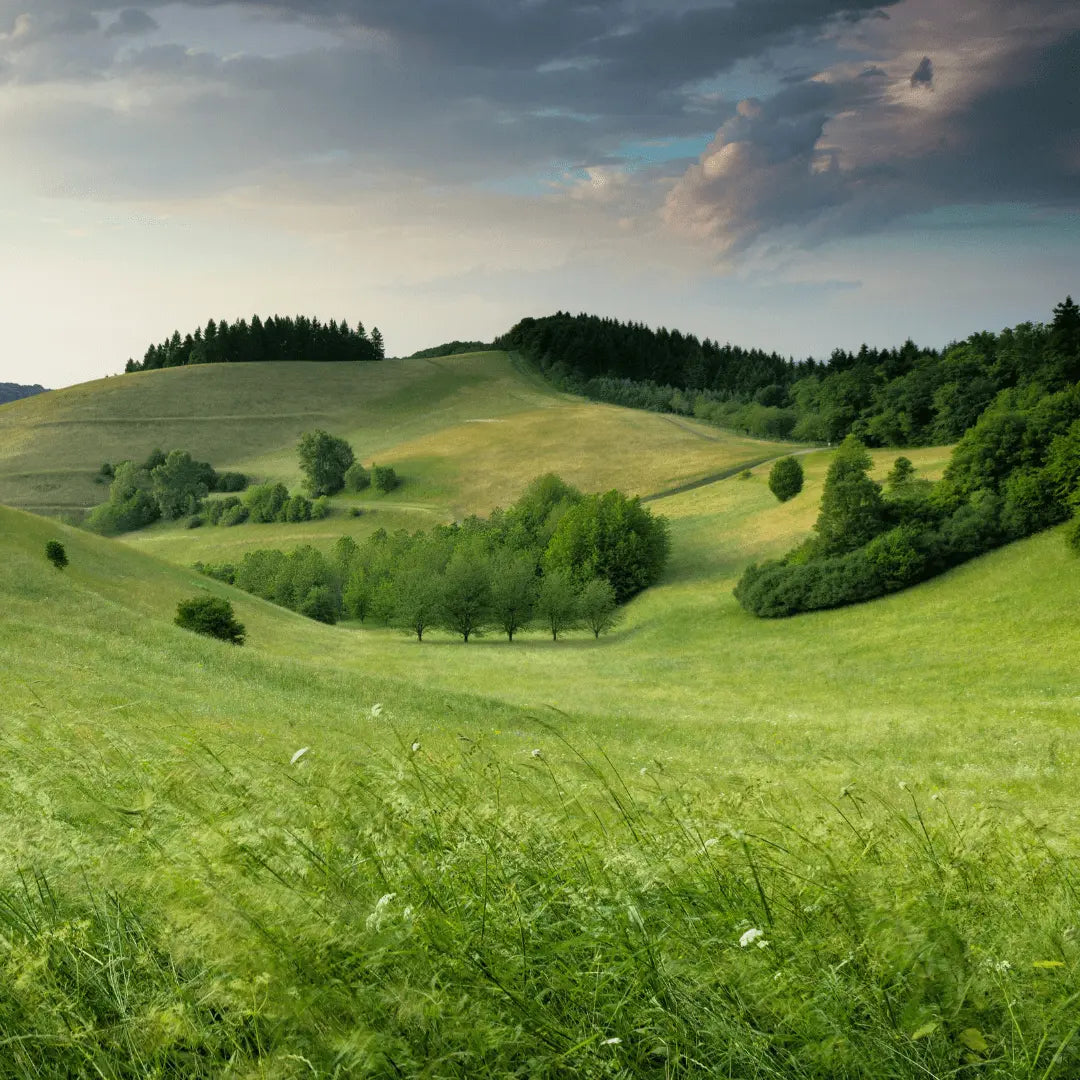 vivatrue - nachhaltige Bio Naturkosmetik aus Respekt vor unserer Umwelt.