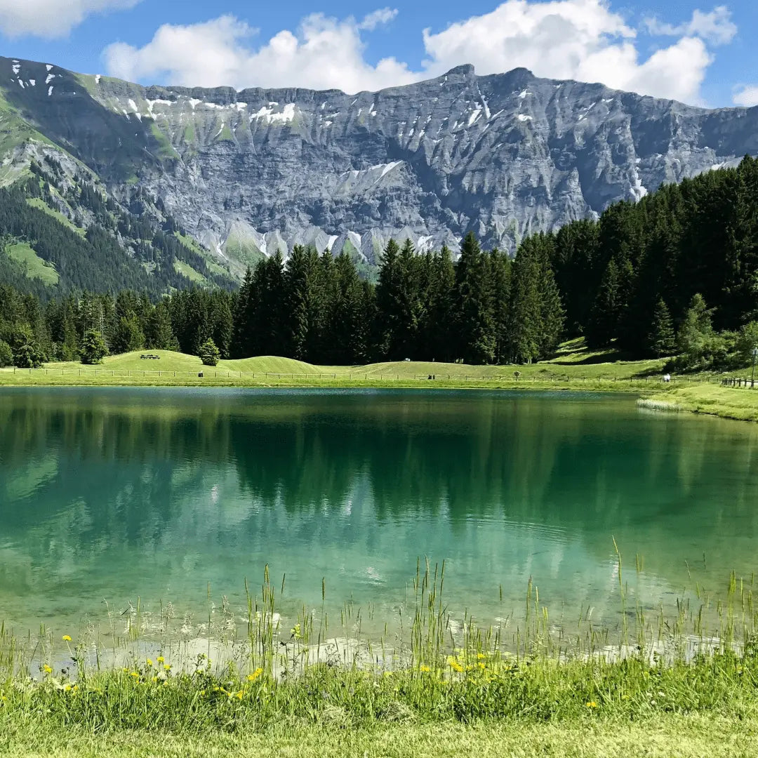 vivatrue - Unsere Verantwortung für die Umwelt: Bio Naturkosmetik im Einklang mit dir und der Natur.